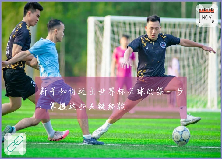 新手如何迈出世界杯买球的第一步，掌握这些关键经验