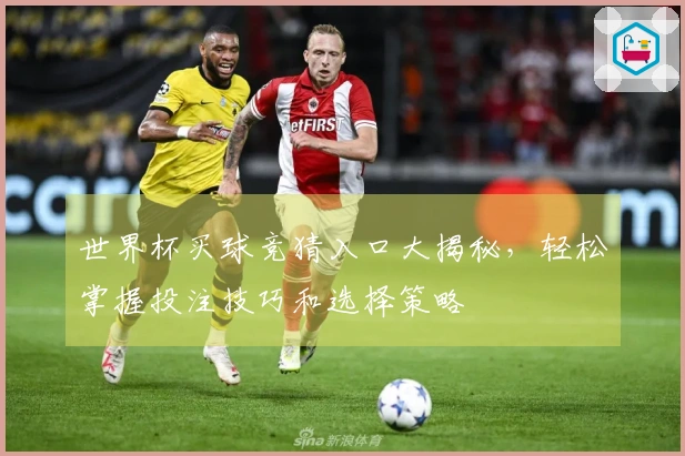 世界杯买球竞猜入口大揭秘，轻松掌握投注技巧和选择策略