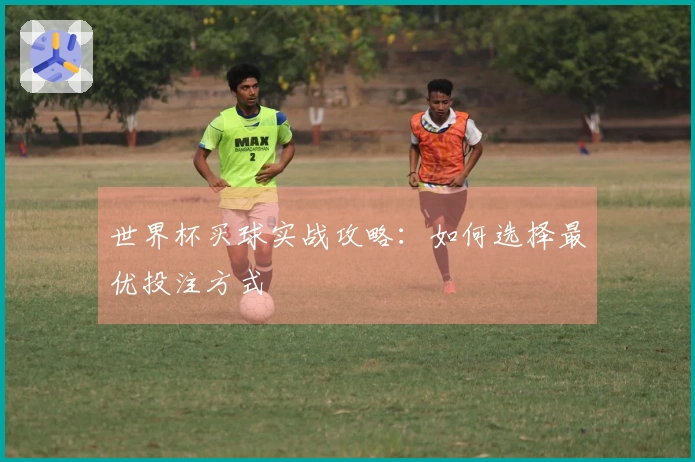世界杯买球实战攻略：如何选择最优投注方式