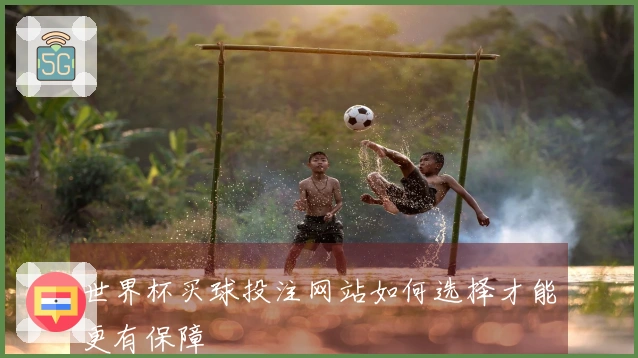 世界杯买球投注网站如何选择才能更有保障